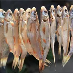 Сушеная,  вяленая рыба (таранька) собственного производства оптом и в р