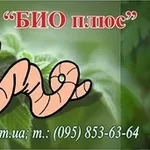 Компания  БИОПЛЮС продаетнедорого  маточное поголовье  червя