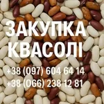 Купуємо квасолю. Заберемо своїм транспортом