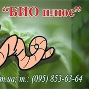 Компания  БИОПЛЮС продает недорого  маточное поголовье  червя